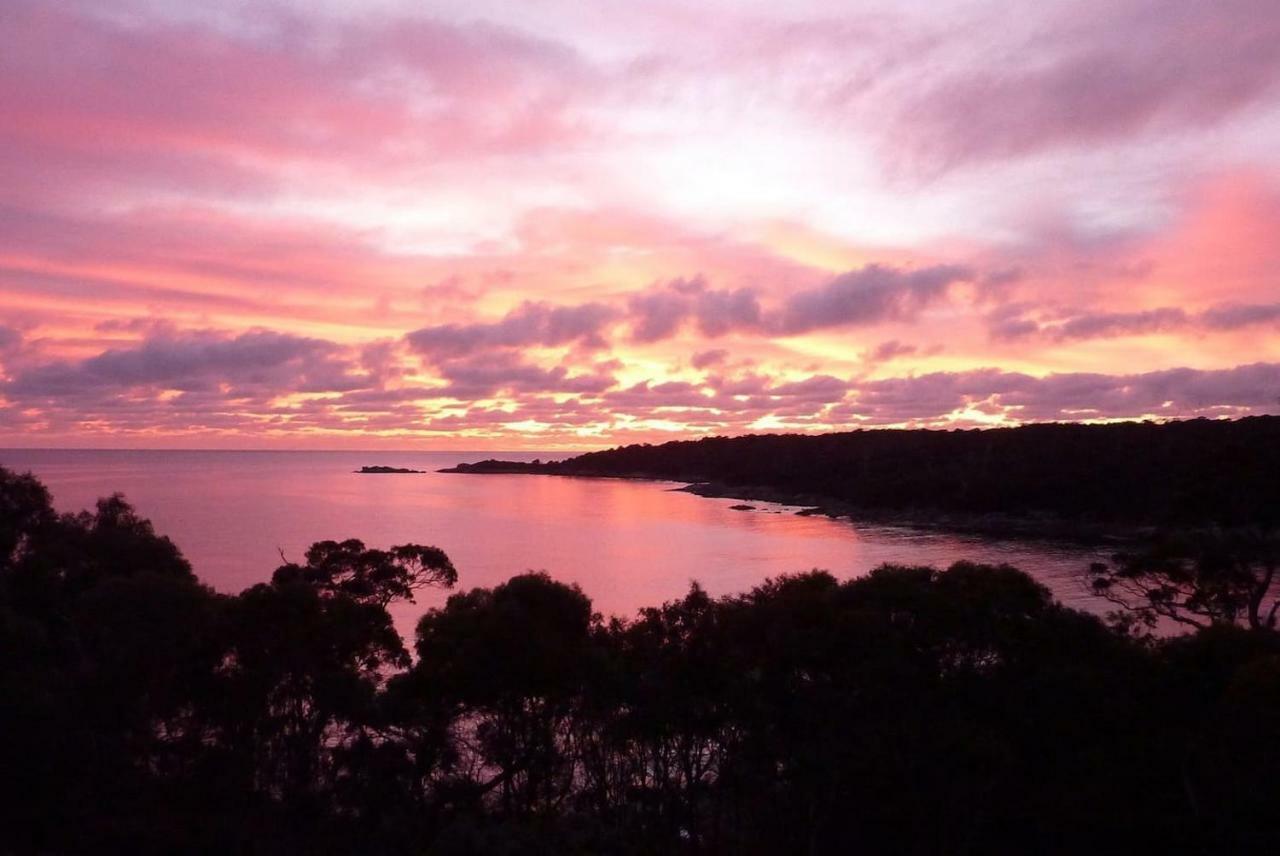 Апартаменты The Loft @ Bay Of Fires Seascape Binalong Bay Экстерьер фото
